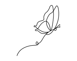Flying Butterfly Line Vector , Line Drawing Butterfly Designs