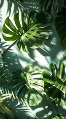 Eco-chic, popular botanical prints with a modern twist, ideal for bringing the outdoors in and adding a green touch to your home. 