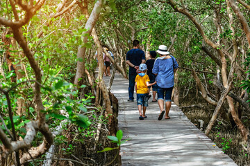 Back view of happy Asian family travel walk through on bridge wood with beautiful view of mangrove...