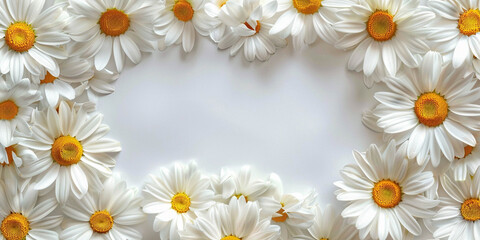 Fototapeta premium photo frame of delicate daisies on a white background, advertising banner concept, holiday summer card