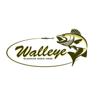 Walleye Fishing Logo, Unique and Fresh walleye fish jumping out of the water catching the lures. Great to use as your walleye fishing activity. 