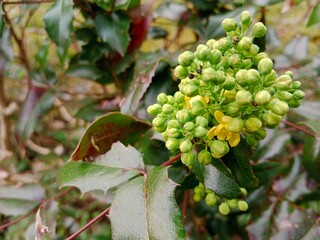 Spring colors bring forth a vibrant palette of pastel hues, blossoming flowers, and fresh greenery, signaling the awakening of nature after the winter slumber