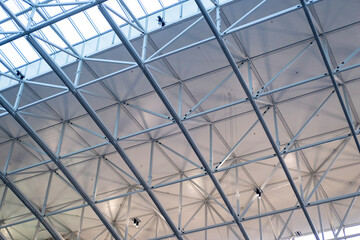 fragment striking image capturing the beauty and precision of arched metal vault, showcasing...