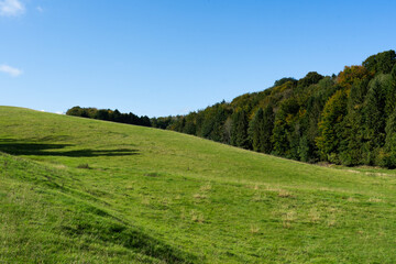 Obraz premium Sunny Rolling Hills and trees 