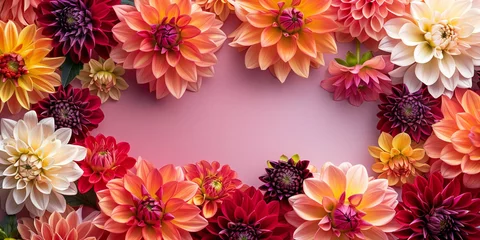Foto op Plexiglas A photo of colorful dahlias on a pink background, creating a bright and cheerful setting for children's crafts or greeting cards. © alsu0112