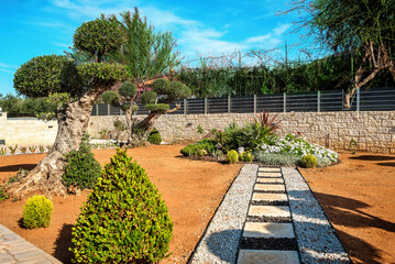 A picturesque garden scene with olive trees pruned into spherical shapes, set against a red ground devoid of grass, with a pathway leading towards a vibrant flowerbed.