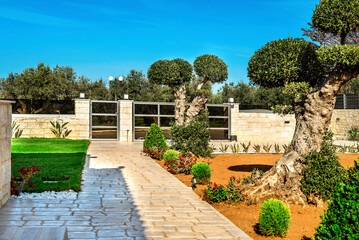 A picturesque garden scene with olive trees pruned into spherical shapes, set against a red ground devoid of grass, with a pathway leading towards gates.