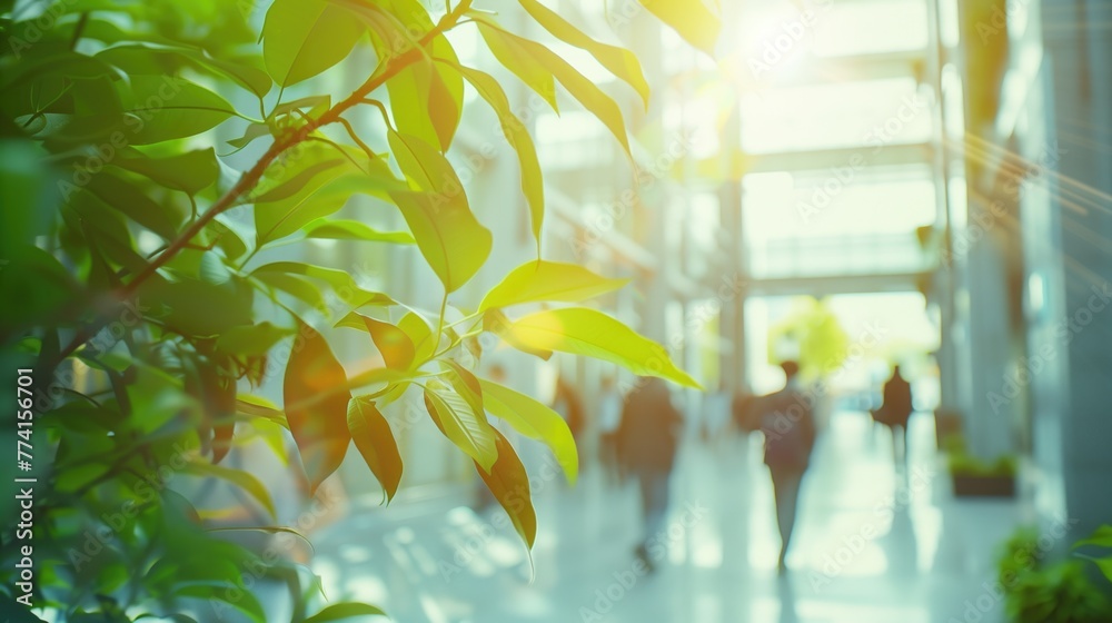 Wall mural blurred business people walking in the office corridor with green trees and sunlight. blurred busine