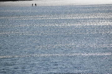 Strand bei, beacht near Howth