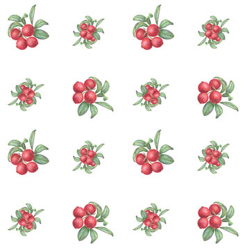 Seamless pattern with red berries and green leaves on a white background.