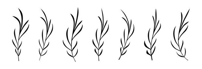 Floral twig vector set. Branch with leaves silhouette. Botanical decoration.