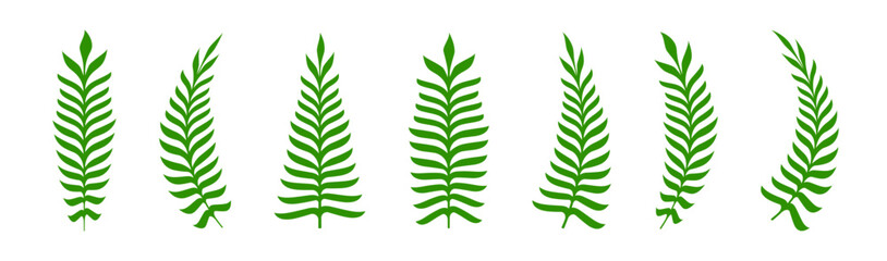 Fern twig vector set. Branch with green leaves. Floral decoration.