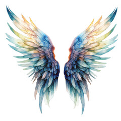Watercolor angels wing Bright colors wings colorful illustration. Feather wings art tribal element