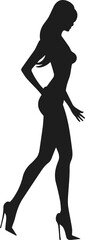 Silhouette of a fashion model girl