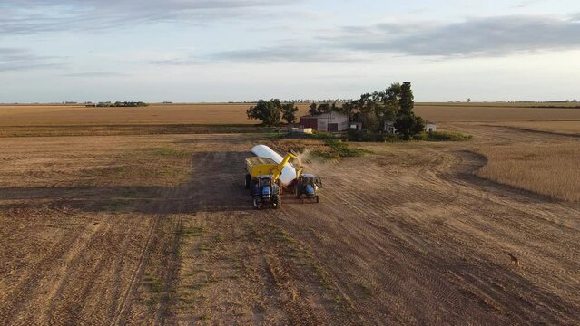 Máquinas descargando semillas de soja en silobolsas , vista aérea con dron