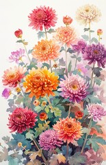 A lush display of colorful chrysanthemums in watercolor