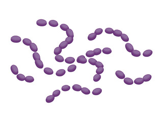 ミュータンス菌