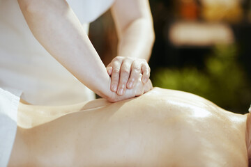 Closeup on massage therapist in spa salon do therapeutic massage - 774166772