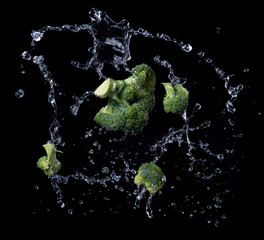 Flying pieces of broccoli with water splash, isolated on black background - 774168771