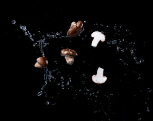 Champignon mushroom with water splash against a black background, flying food - 774168781