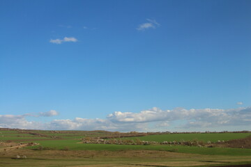Fototapeta premium A field with a blue sky