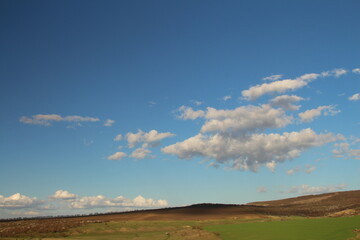 Obraz premium A field with blue sky and clouds