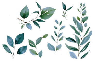 Set of watercolor olive branches element illustration

