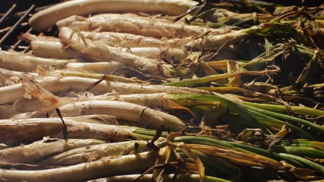Traditional Spanish catalan green winter onion calcots, spring green season grill barbecue, vegan bbq with fire in Barcelona, Catalonia. Close up of grilling green onion.