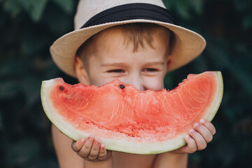 watermelon on a summer day