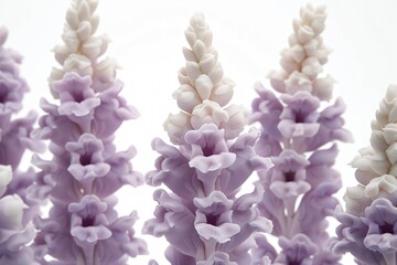 3D clay snapdragons in pastel towering gracefully against a white background emblem of strength