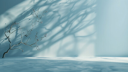 Soft floral shadows on a white wall.