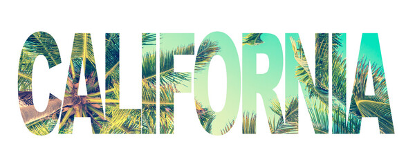 Word California written with a photo of palm trees isolated on transparent background - 774183745
