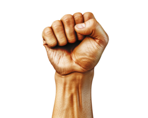 fist hand gesture isolated on transparent background