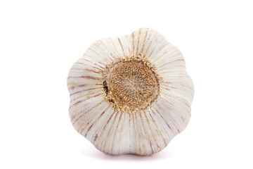 garlic bulb on white background