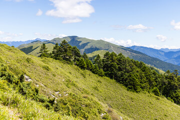 Fototapeta na wymiar Scenery of the green mountain Hehuanshan