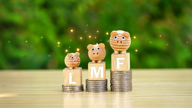 Rows of money coins stacks with LMF word and piggy bank on wooden cube on garden background for long-term stock investments for business growth. Investment LMF fund.