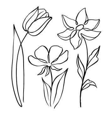 Abstract flowers outline Botanical Hand drawn
