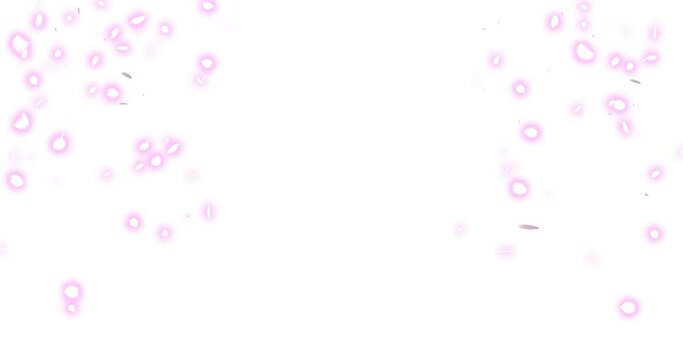 Fantastic particle animation of cherry blossoms (background transparent) with alpha channel. Spring image, Sakura overlay, 桜の幻想的なパーティクルアニメーション(背景透過)アルファチャンネル付。 春のイメージ、オーバーレイ、
