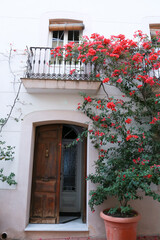 Beautiful whitewashed facade with colorful bougainvillea plant in Spain
