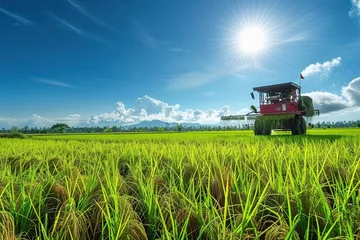 Foto op Canvas Paddy machine at paddy field, background bright sunny day. © Nazmi