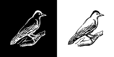 Bird icon. Black icon. Line icon. Black line. Animal. Silhouette