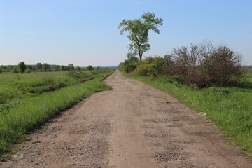 Fototapeta na wymiar Dusty Rural Road Stretching into Horizon