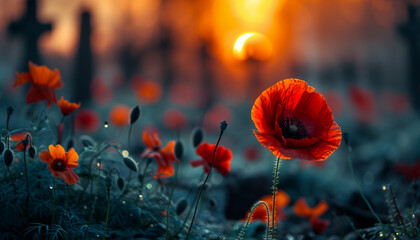 Naklejka premium Blooming red poppies in a field at dusk, concept for the Time of Remembrance and Reconciliation for Those Who Lost Their Lives During the Second World War