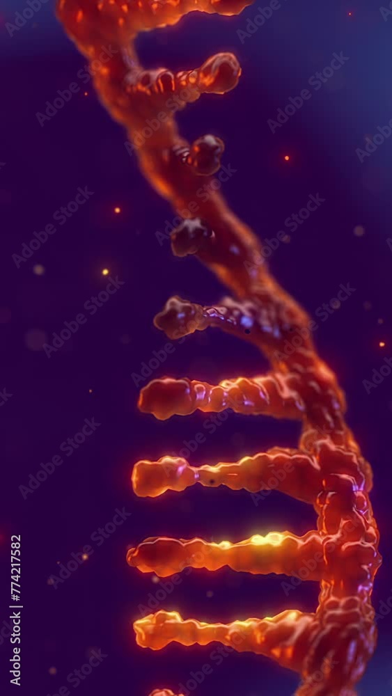 Poster mRNA vaccine research.Single strand ribonucleic acid (RNA) molecule, vertical video. RNA can be used as component for disease treatment