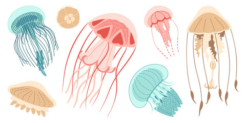 Jellyfish cartoon icon collection. Medusa trendy flat style icon set. Isolated on white background. Vector illustration
