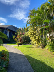Obraz premium Villa on Hawaii with beautiful garden and path with blue sky and palm trees