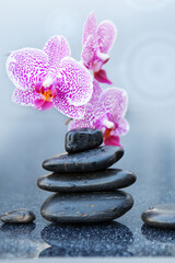 Spa stones and pink orchid flowers on the gray table background.