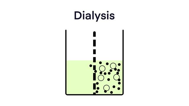 The dialysis technique is used to purify large molecules, dialysis process of separating molecules is solution by the difference in their rates of diffusion through a semipermeable membrane