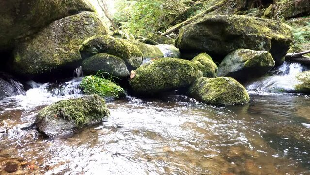 Filmmaterial von Naturschutzgebiet Wildbachklamm Buchberger Leite in Ringelai im Bayerischen Wald, Deutschland