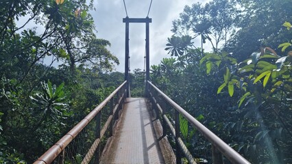 Puente sobre rio en el medio de la selva en la comarca Ngabe Bugle en panama. - obrazy, fototapety, plakaty